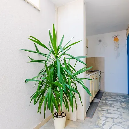 Casa de hóspedes Nikola